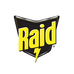 Raid