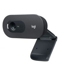 Web камера Logitech C505e