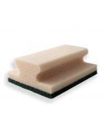 Домакинска гъба Scintilla