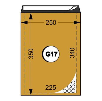 Плик G17