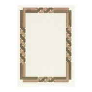 Сертификат DecaDry Спирала