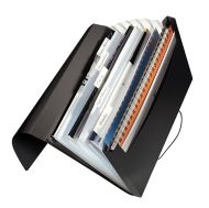 Папка с разделители и ластик Leitz Solid