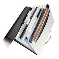 Папка с разделители и ластик Leitz Solid